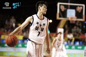 三湘黑豹队对阵西城鲸鲨队，田径杯赛险胜，内线统治篮板——赛场纪律更严谨的简单介绍